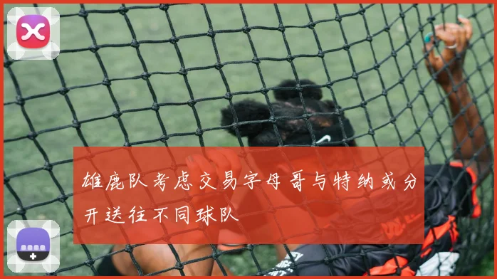 雄鹿队考虑交易字母哥与特纳或分开送往不同球队